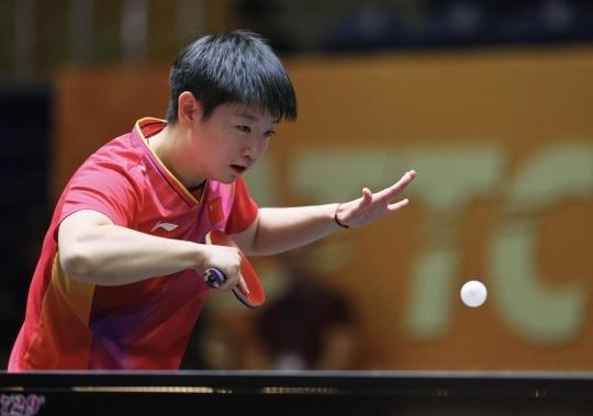 的小将的市 的小将的市