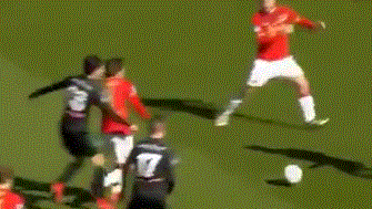 其他选手的 其他选手的